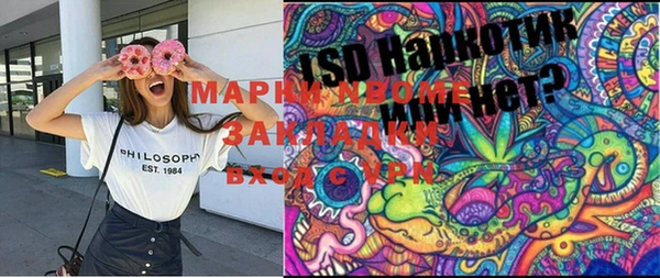 индика Инсар