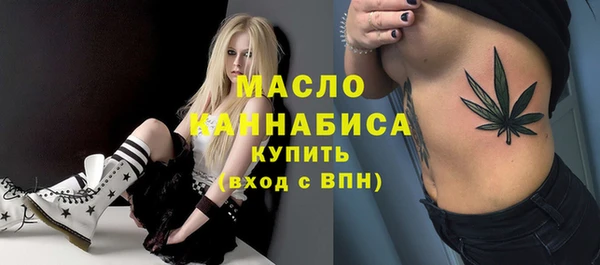 индика Инсар