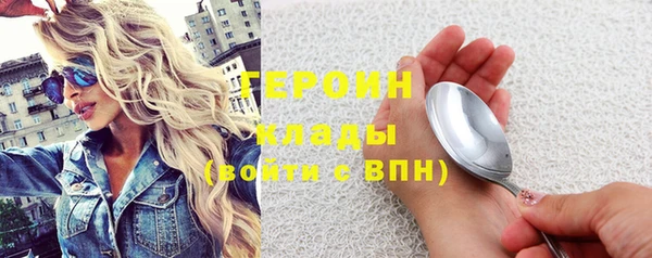 индика Инсар