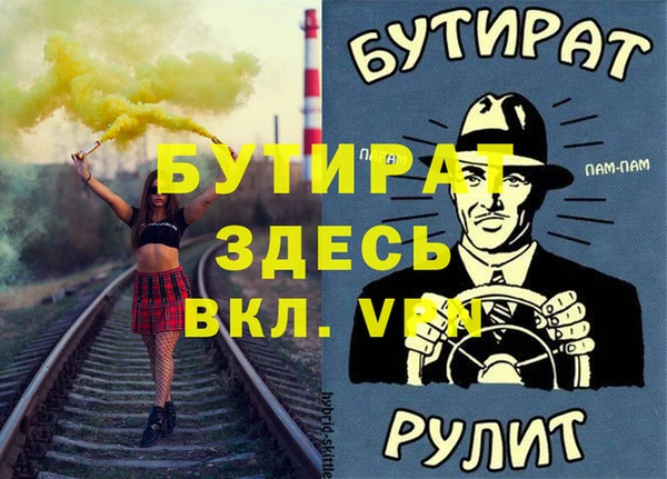 индика Инсар