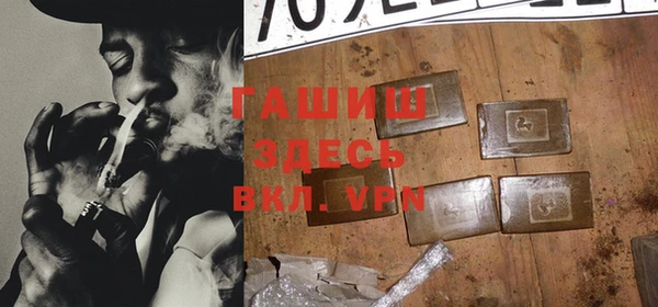 индика Инсар