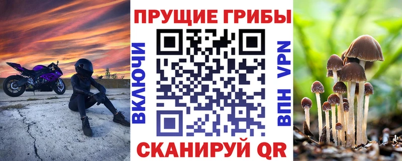 Псилоцибиновые грибы GOLDEN TEACHER Владимир